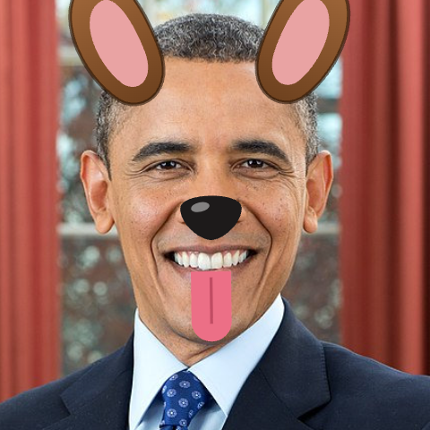 Dog filter